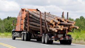 How to Write a Logging Truck Business Plan
