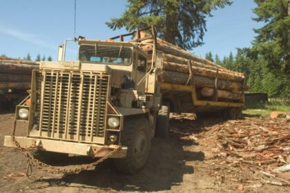 How to Buy a Logging Truck for Business