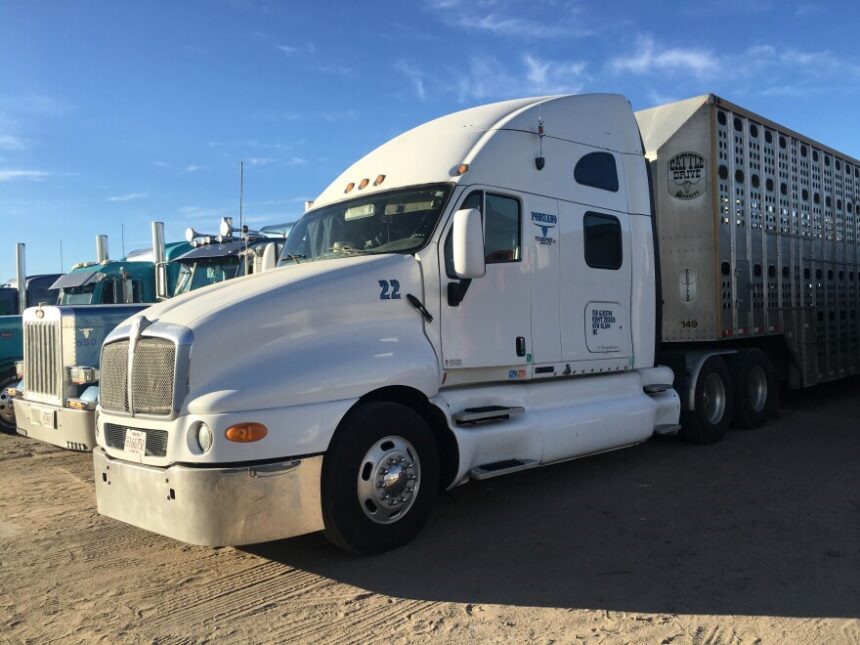 How to Get Business Insurance for Livestock Truck Delivery Service