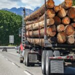 Is Logging Truck Good Business