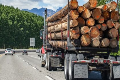 Is Logging Truck Good Business