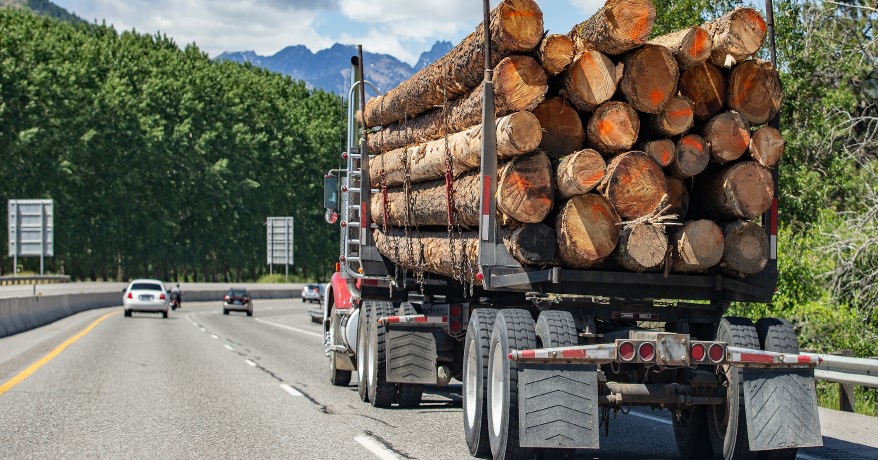 Is Logging Truck Good Business