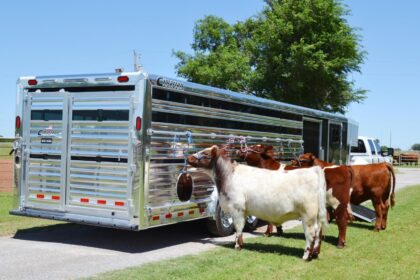 Livestock Business Accessories You Need to Succeed