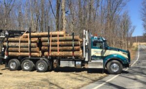 Logging Truck Business Should I Set It as an LLC