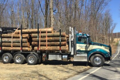 Logging Truck Business Should I Set It as an LLC