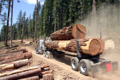 Logging Truck Business Should I Set Up as an S. Corp