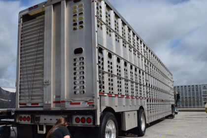 Livestock-Truck-Business-Ideas