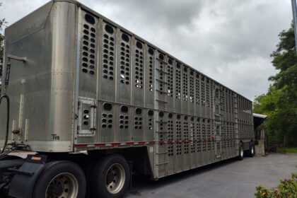 How-to-Buy-a-Livestock-Truck-for-Business