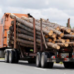 How-to-Lease-a-Logging-Truck-For-Business
