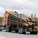 Logging-Truck-Business-Should-I-Set-Up-As-a-C-Corp