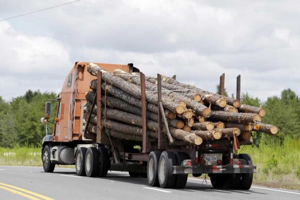 Logging-Truck-Business-Should-I-Set-Up-As-a-C-Corp
