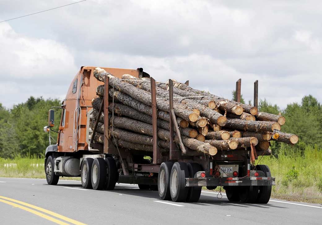 Logging-Truck-Business-Should-I-Set-Up-As-a-C-Corp